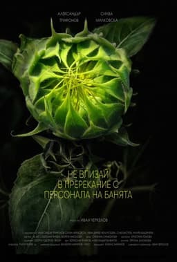 Do Not Argue with the Staff at the Baths