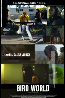 Bird World