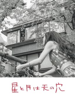 The Stars and the Moon are Holes in the Sky