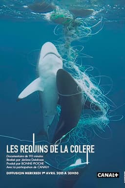 Les Requins de la Colère