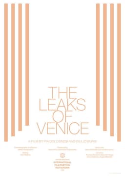 The Leaks of Venice