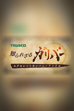 Hidden Gullivers: Profiles of Outstanding Companies