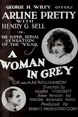 A Woman in Grey