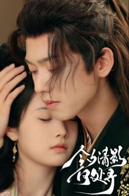 今夕清影何处寻