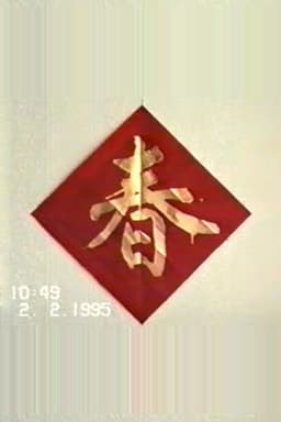 1995年2月2日民间举办迎喜花会