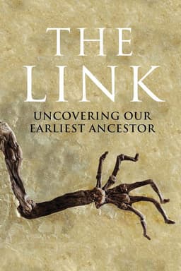 Uncovering Our Earliest Ancestor: The Link