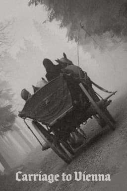 Carriage to Vienna