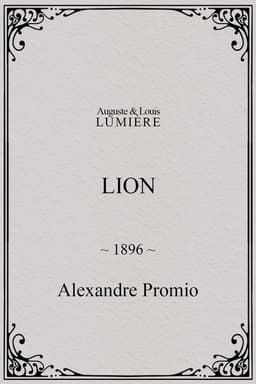 Lion, London Zoological Gardens