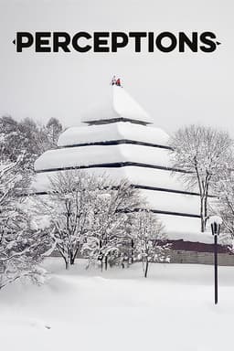 Perceptions