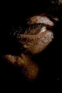 Debil Debil Baldwin Spencer