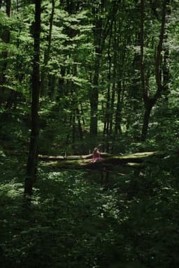 Kétoldali közelítés