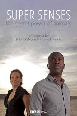 Super Senses: The Secret Power of Animals