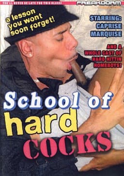 School of Hard Cocks
