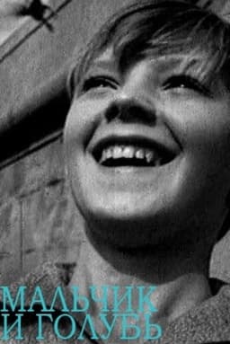 The Boy and the Pigeon