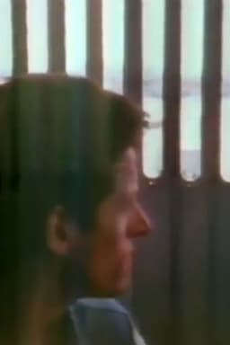 The Blue Nile: Flags and Fences