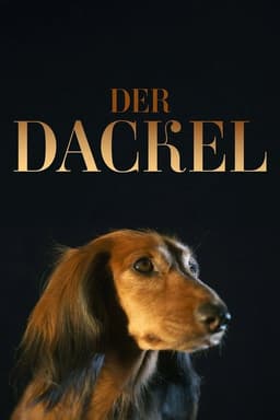 The Dachshund