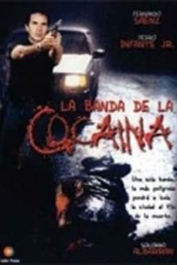 Un ingeniero en la capital