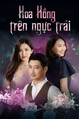 Hoa hồng trên ngực trái
