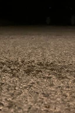 Snails Steadily Stroll the Street 2: Diligent Dirt-Dwellers Dash (Snails Steadily Stroll Lenin Nightcore Remix)